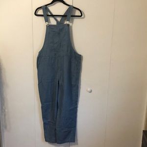 aerie blue stripe overalls M